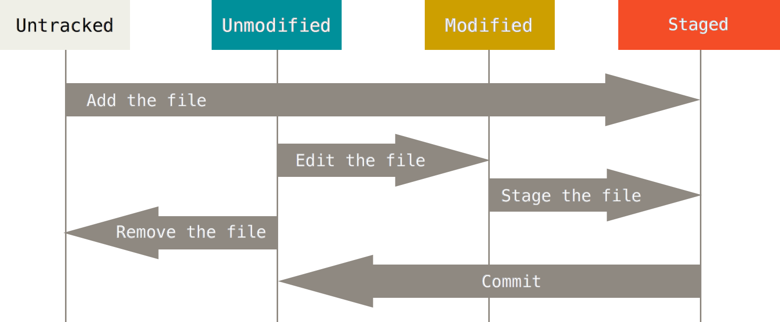 Git lifecycle